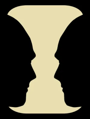 "Rubin's vase" optical illusion